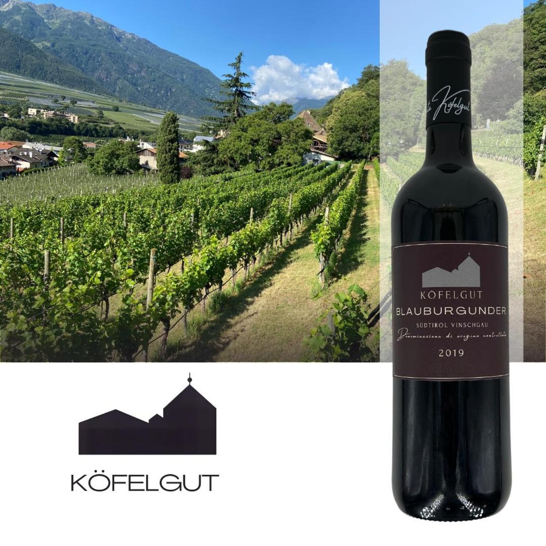 Weingut Koefelgut - Turris Vini Apartment Castelbello Exterior photo